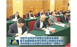 景柱参加习主席民营企业座谈会