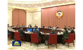 景柱参加全国政协双周协商座谈会并发言